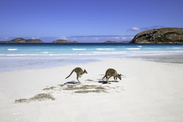 Australia Great Discovery